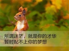 小红书最红的话语大全